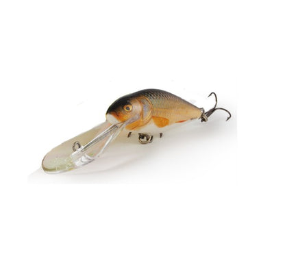 Salmo Perch 8F