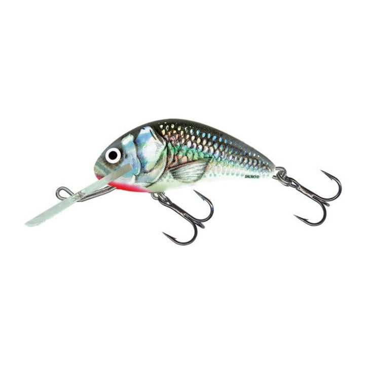 Salmo Hornet 4F