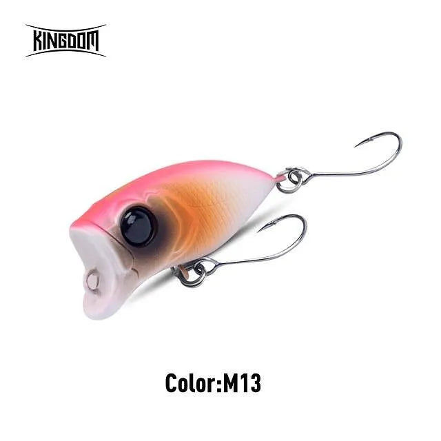 Popper Kingdom MicroMinnow